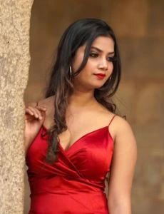 call girl service in Holalkere